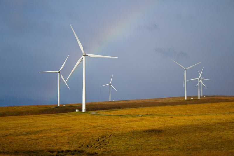 Sustainable Lifestyle Tips
