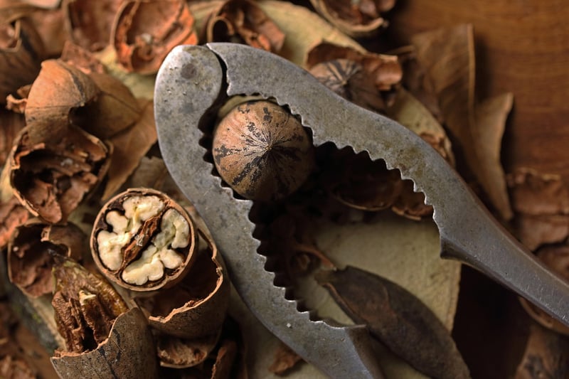 Nuts and Seeds